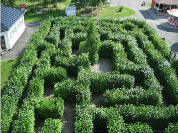 pensaslabyrintti-large.jpg 303k